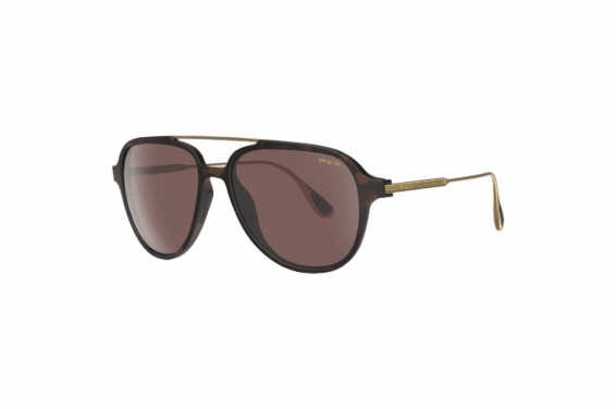Bex Sunglasses Kabb Tortoise Brown/Brown Silver