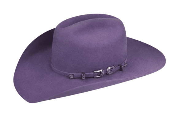 Bailey Punchy Felt Hat