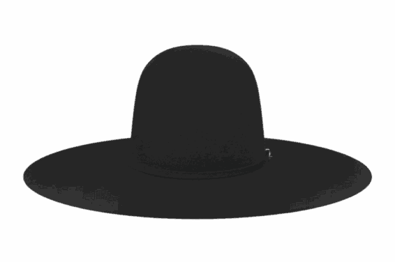 Bailey RCA Open Crown W2207G 10 X Felt Hat