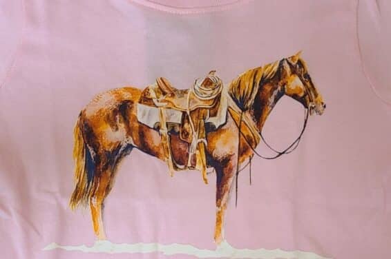 Arrow F Toddler Girls S/S Pink Good Horse Tee-AFGHT